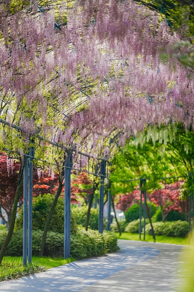 好光有生命，，，共建光合朋侪圈