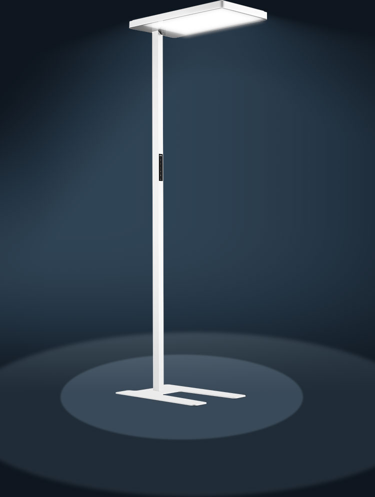 凯发一触即发(中国区)k8官方网站